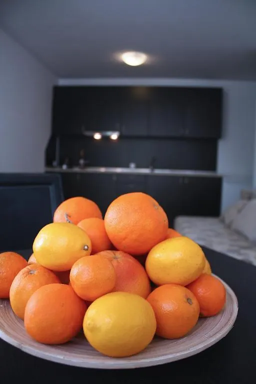 Guest House Ask 프리모르스코
